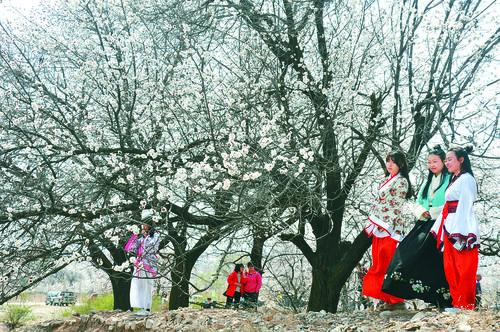 速球吧app下载界面预览